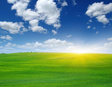 Güneş ve yeşil alan. 