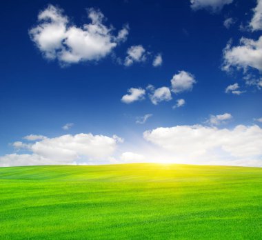 Güneş ve yeşil alan. 