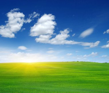 Güneş ve yeşil alan. 