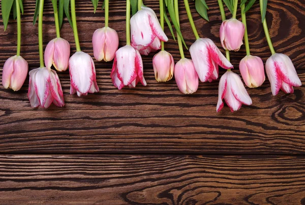 Pink tulips bunch on wood planks background