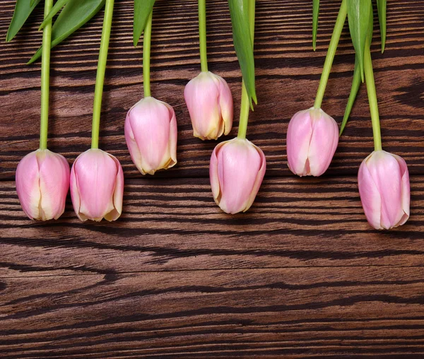 Tulpaner på träbord — Stockfoto