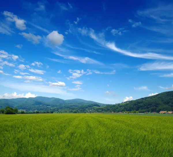 Montanha paisagem verão — Fotografia de Stock