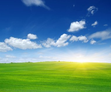 Güneş ve yeşil alan. 