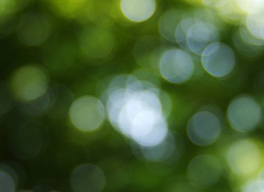 yeşil arka plan bulanık