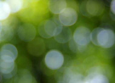 yeşil arka plan bulanık