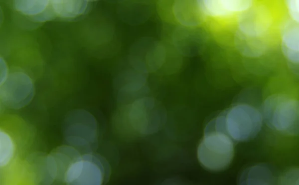 Green blurred background — Stock Photo, Image