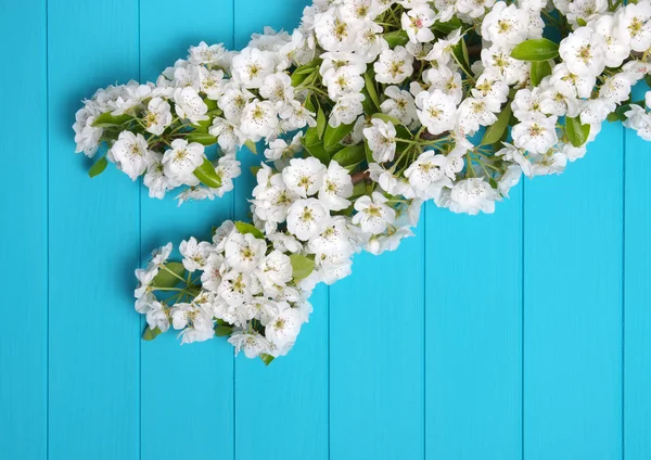 Blüte auf blauem Holz Hintergrund — Stockfoto