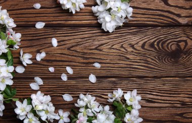  Ahşap üzerine bahar çiçekleri