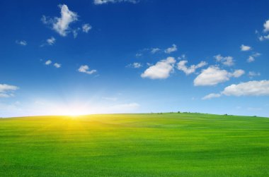 Güneş ve yeşil alan. 