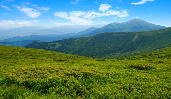 여름의 산악 지대 — 스톡 사진