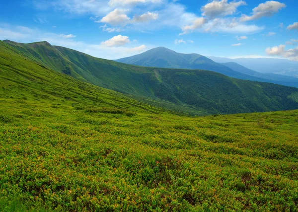 Paisaje de montaña en el verano — Foto de Stock