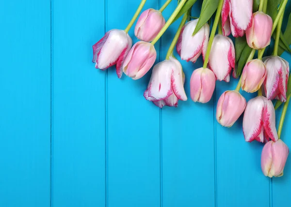 Tulipanes sobre madera azul . — Foto de Stock