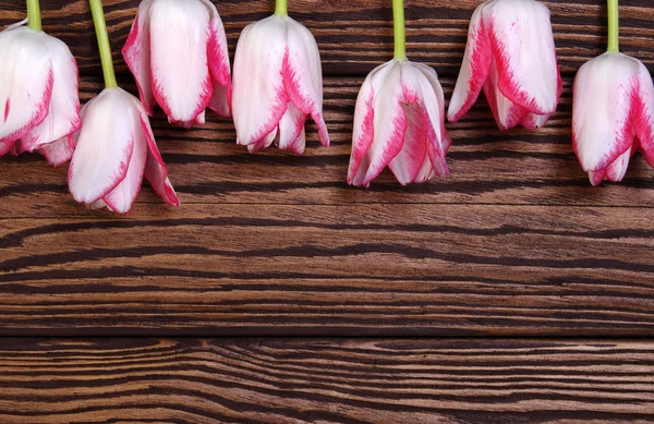 Tulipani rosa grappolo su legno tavole sfondo — Foto Stock