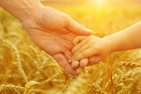 Mains du père et de la fille au soleil — Photo