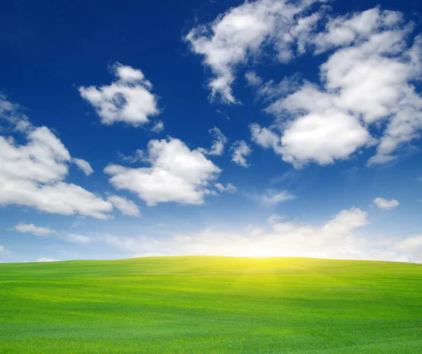 Зеленое поле и солнце . — стоковое фото