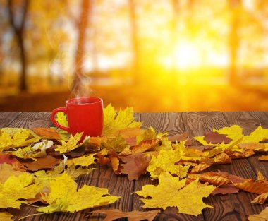 Sonbahar yaprakları ve kahve.. 