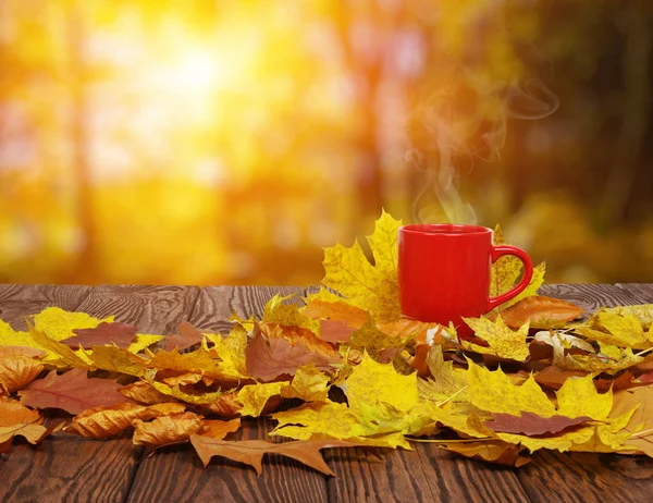 Hojas de otoño y café . — Foto de Stock