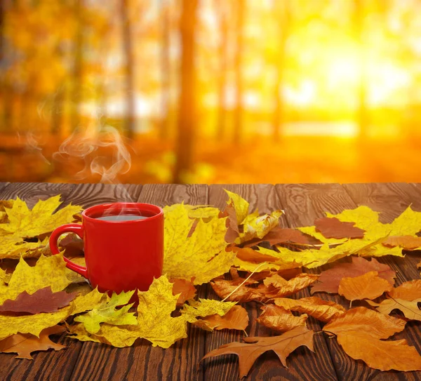 Herbstlaub und Kaffee. — Stockfoto