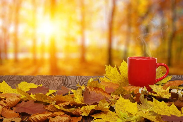 Herbstlaub und Kaffee. — Stockfoto