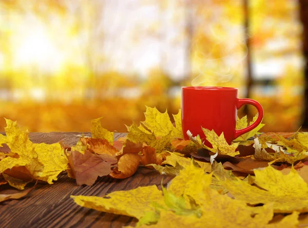 Autumn leaves and coffee. — ストック写真