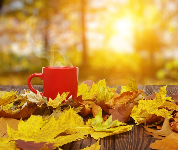 Foglie autunnali e caffè . — Foto Stock