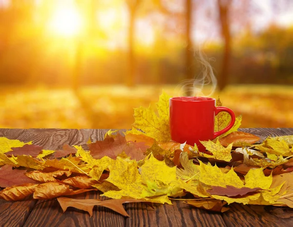 가을 잎 과 커피. — 스톡 사진
