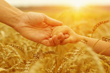 Güneşin üzerindeki baba ve kızın elleri. Birbirlerini buğday tarlasında tutuyorlar.