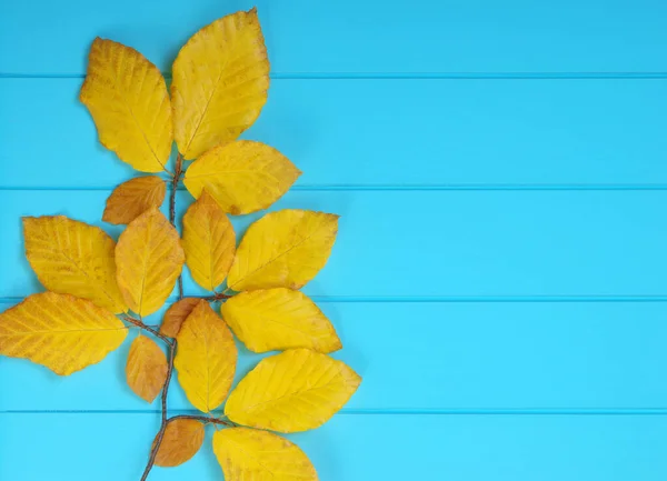 Foglie Autunnali Sfondo Blu Legno — Foto Stock