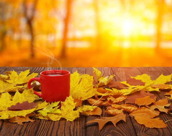 Herbstblätter Und Eine Heiße Dampfende Tasse Kaffee Holztisch Auf Hellem — Stockfoto