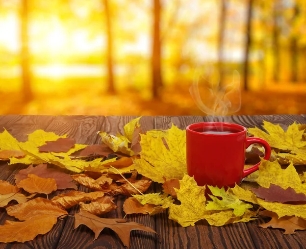 Jesienne Liście Gorąca Parująca Kawa Drewniany Stół Tle Światła Słonecznego — Zdjęcie stockowe