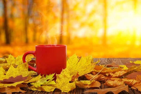 Foglie Autunnali Una Calda Tazza Caffè Fumante Tavolo Legno Sfondo — Foto Stock