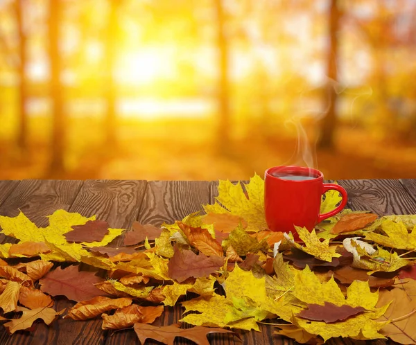 Herbstblätter Und Eine Heiße Dampfende Tasse Kaffee Holztisch Auf Hellem — Stockfoto