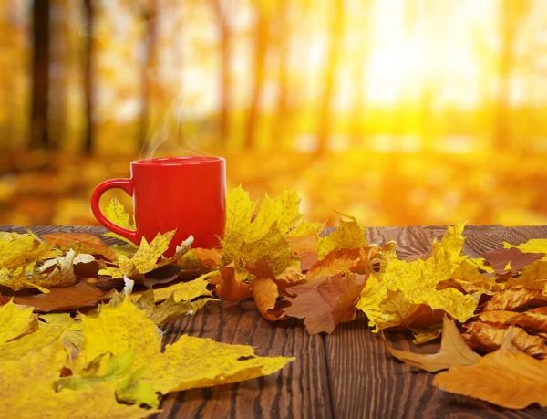 Autumn leaves and hot steaming cup of coffee. Wooden table on sun light background. Fall time concept.