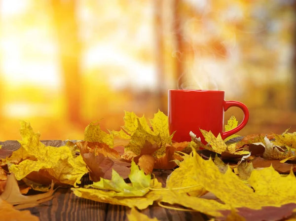 Herbstblätter Und Eine Heiße Dampfende Tasse Kaffee Holztisch Auf Hellem — Stockfoto
