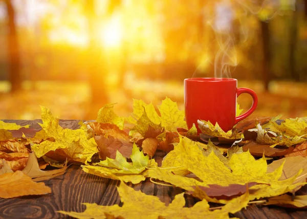 Herbstblätter Und Eine Heiße Dampfende Tasse Kaffee Holztisch Auf Hellem — Stockfoto