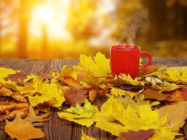 Autumn leaves and hot steaming cup of coffee. Wooden table on sun light background. Fall time concept.