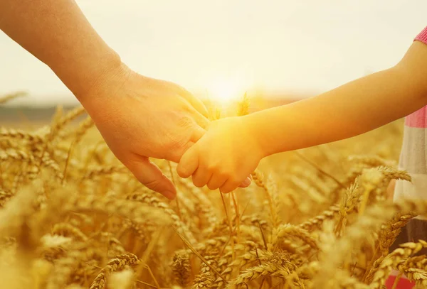 Hände Von Mutter Und Tochter Der Sonne Halten Einander Auf — Stockfoto