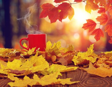 Sonbahar yaprakları ve güneşte kırmızı kahve bulanık ağaçlar. Sonbahar arkaplanı.