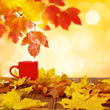 Sonbahar yaprakları ve güneşte kırmızı kahve bulanık ağaçlar. Sonbahar arkaplanı.