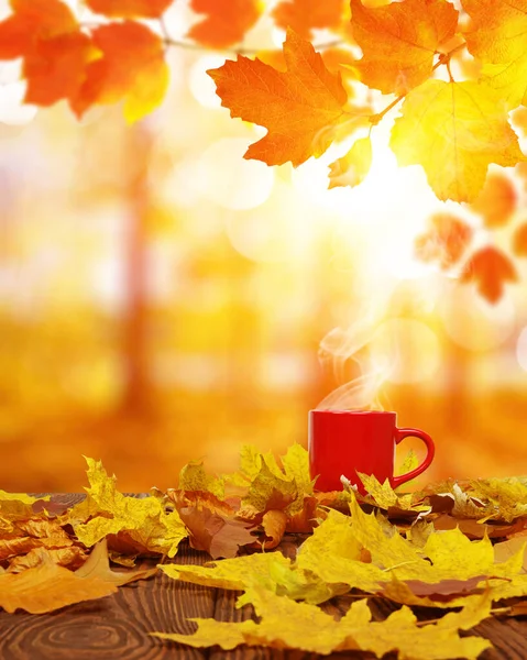 Herbstblätter Und Eine Rote Tasse Kaffee Der Sonne Verwischten Die — Stockfoto