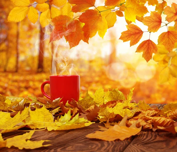 Foglie Autunnali Una Tazza Caffè Rosso Sugli Alberi Sfocati Dal — Foto Stock