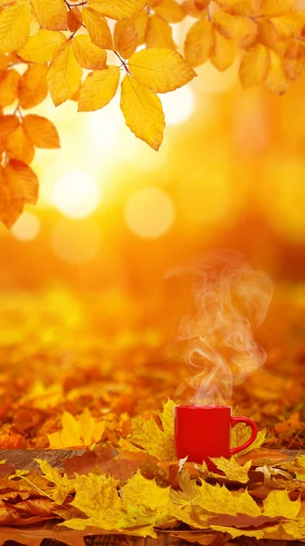 Höstlöv Och Röd Kopp Kaffe Solens Suddiga Träd Fall Bakgrund — Stockfoto