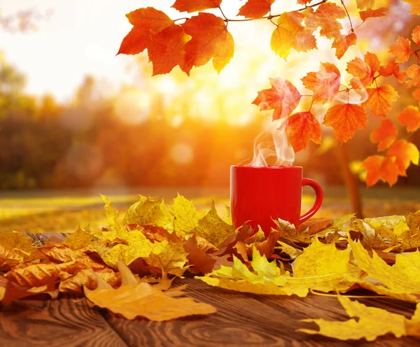 Осенние Листья Красная Чашка Кофе Солнце Размыли Деревья Осенний Фон — стоковое фото