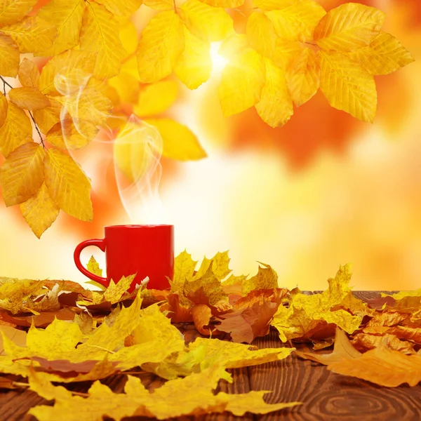 秋の葉や太陽の下でコーヒーの赤いカップの木々がぼやけている 秋の背景 — ストック写真