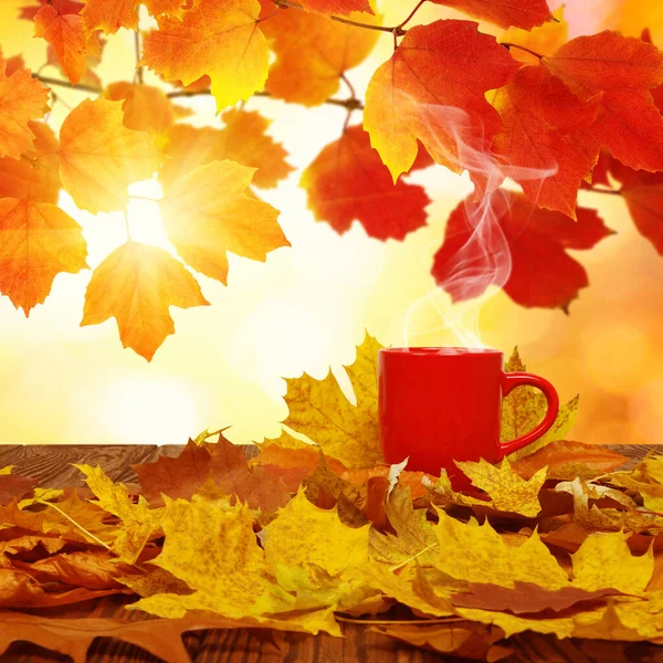 Φθινοπωρινά Φύλλα Και Κόκκινο Φλιτζάνι Καφέ Στον Ήλιο Θολά Δέντρα — Φωτογραφία Αρχείου