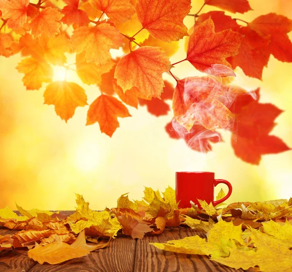 Φθινοπωρινά Φύλλα Και Κόκκινο Φλιτζάνι Καφέ Στον Ήλιο Θολά Δέντρα — Φωτογραφία Αρχείου