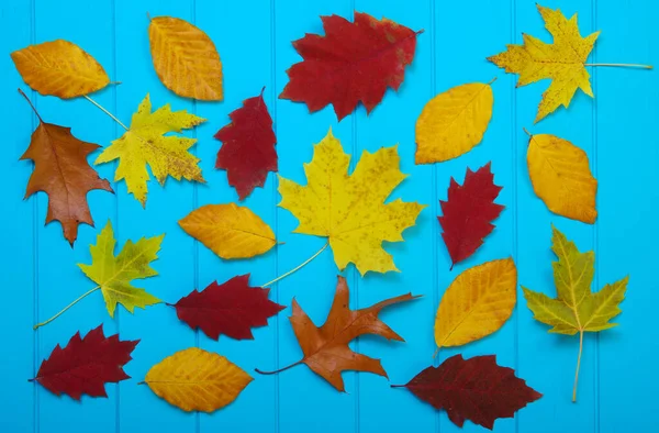 Podzimní Listy Dřevěném Modrém Pozadí — Stock fotografie