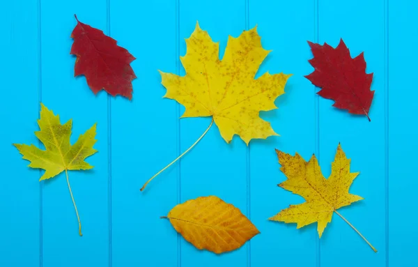 Podzimní Listy Dřevěném Modrém Pozadí — Stock fotografie