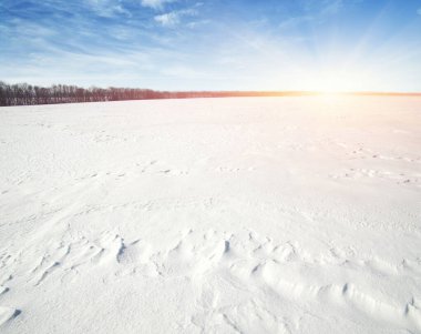 Kış manzarası. Gökyüzünde ve güneşte karla kaplı tarlalar.