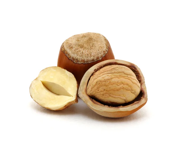 Closeup Hazelnuts Isolated White Background — Stock Photo, Image